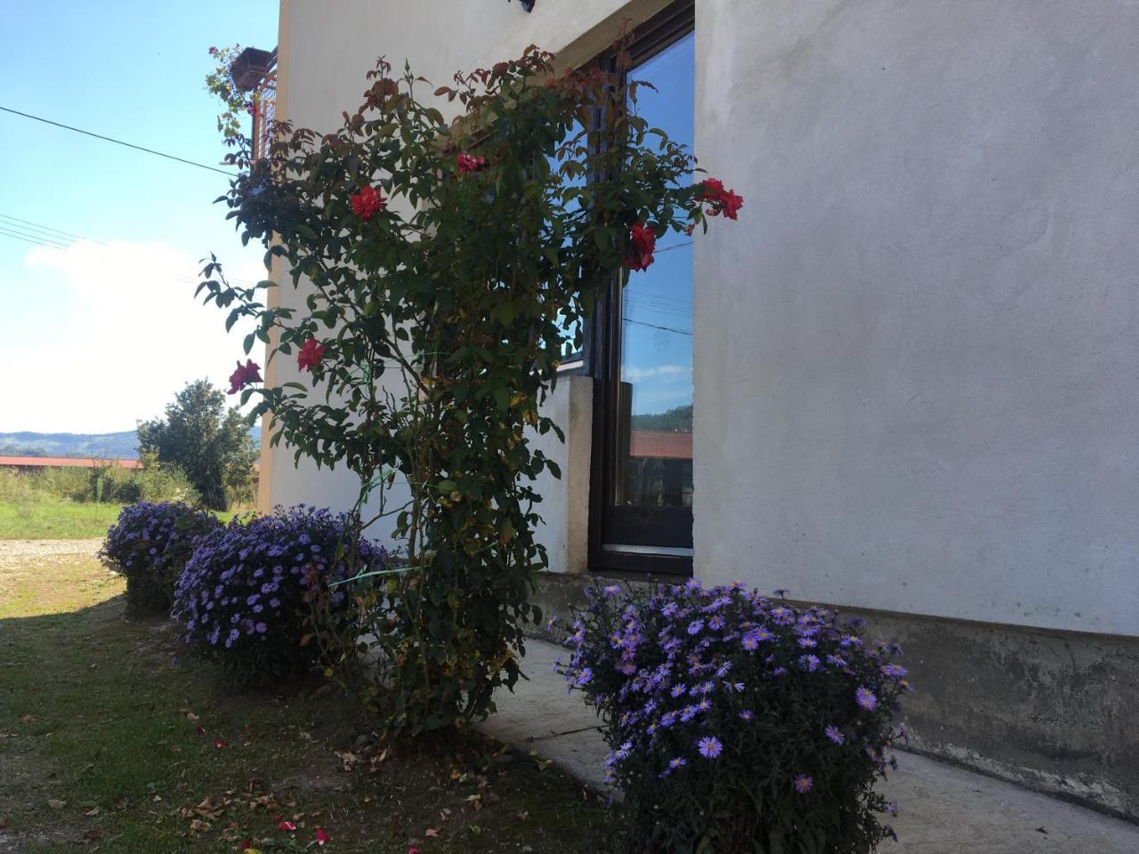 Ferienwohnung Zvezdica Bajina Basta Exterior foto